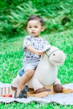 Top Rocking Horses for 2 Year Olds in 2022